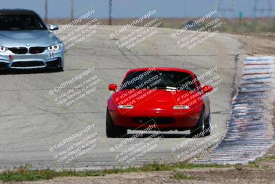 media/Apr-01-2023-Speed Ventures(Sat) [[0a098caa64]]/Purple Group/Outside Grapevine/